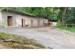Vista 4