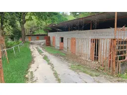 Vista 5