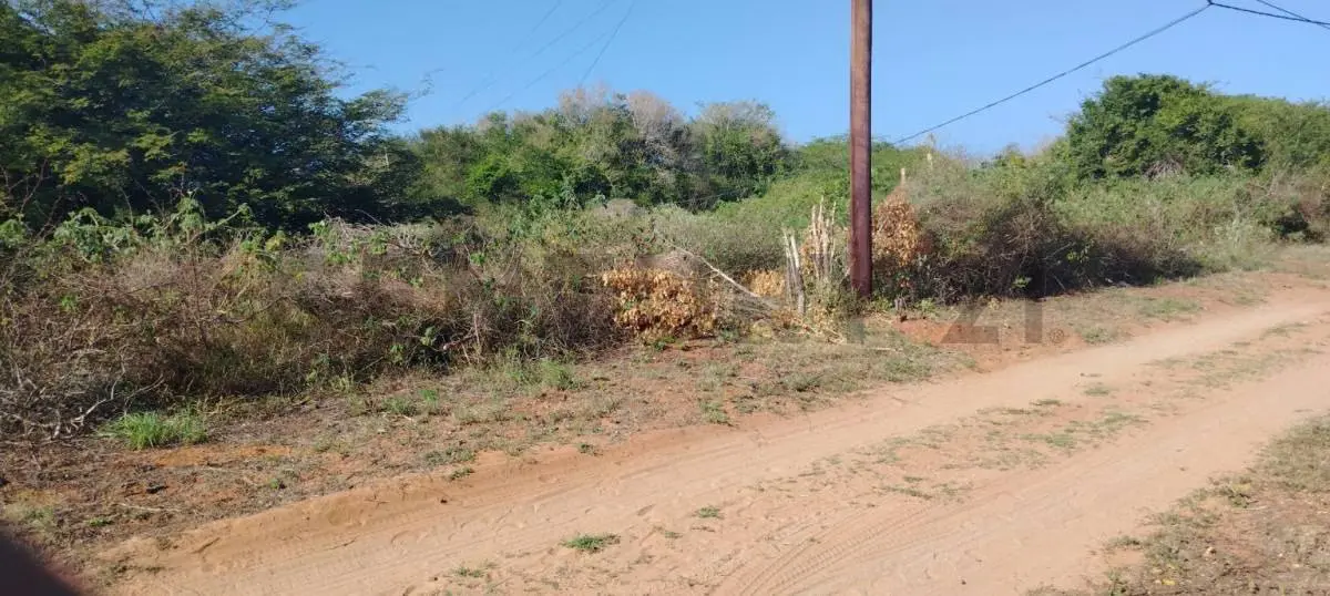 Terreno en Aricagua 828m2 - 5