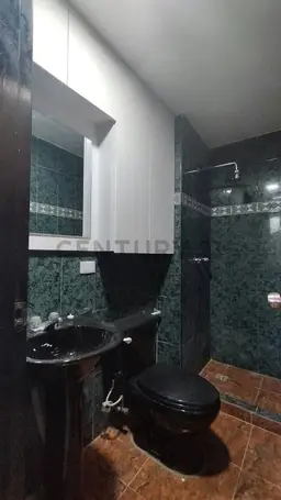 Vista 15