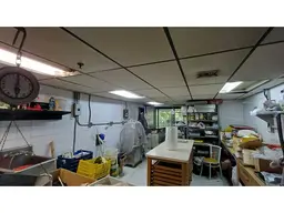 Vista 9