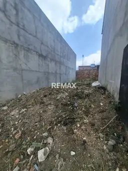 Vista 5