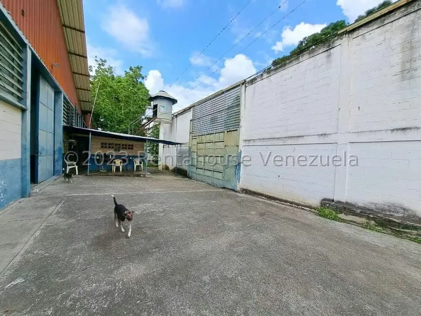 Comercial (Local Comercial) en Venta en Santa Rosa de Charallave, Miranda - 16