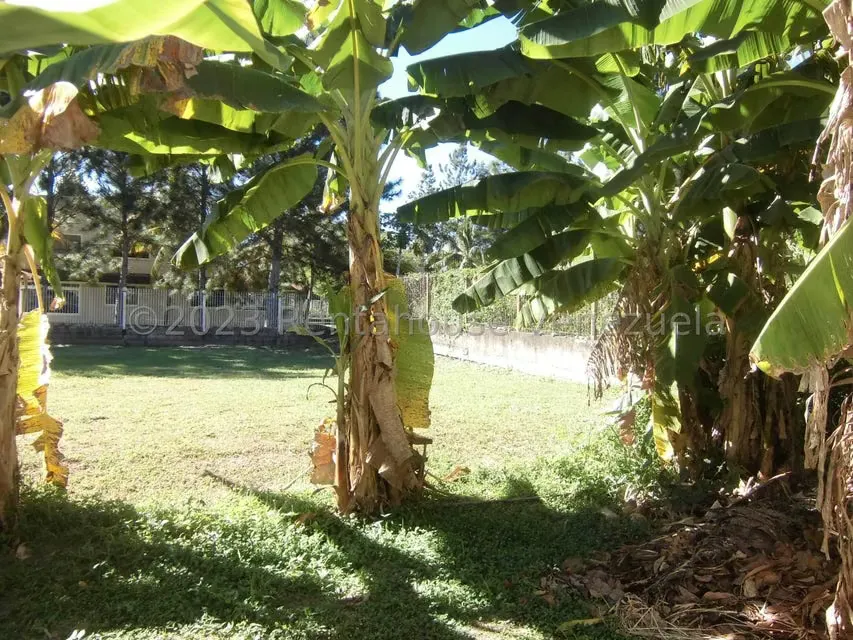 Terreno (Residencial) en Venta en La Cumaca, Carabobo - 11
