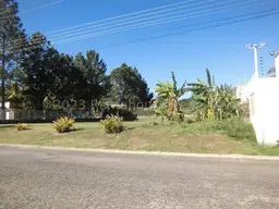 Vista 19