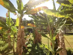 Vista 10