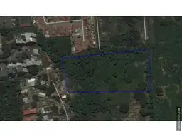 Vista 1