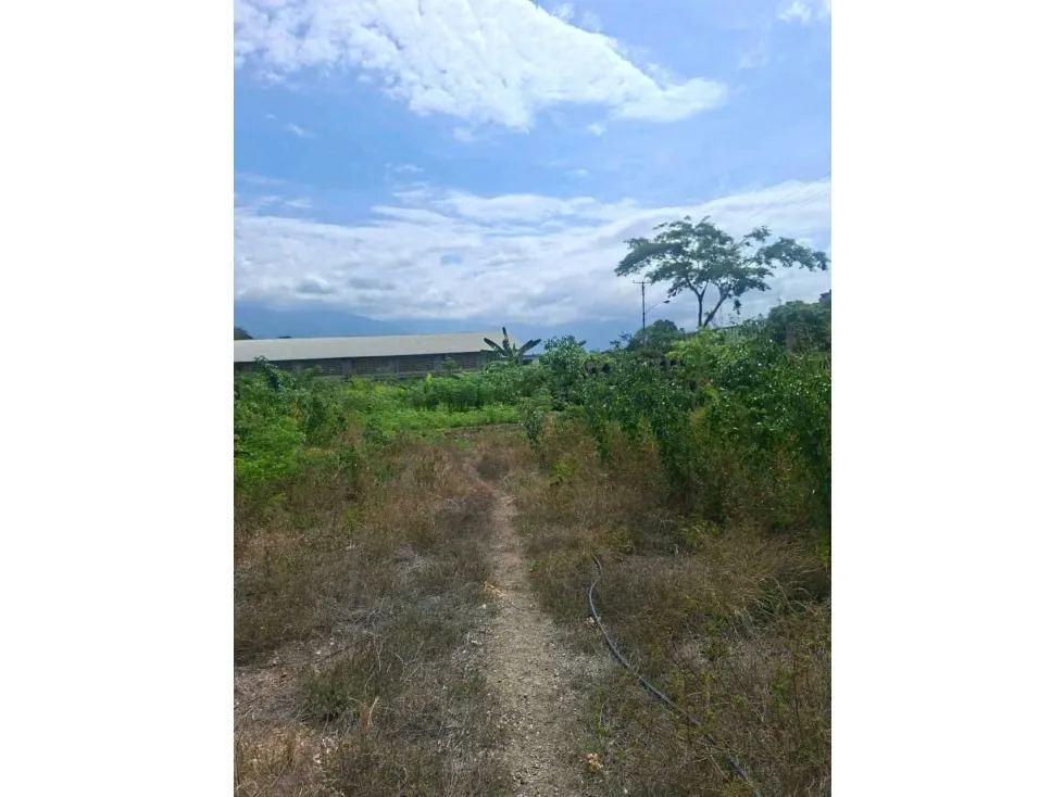 Vendo terreno 52.000m2 Zona Industrial Cloris-Guarenas 8717