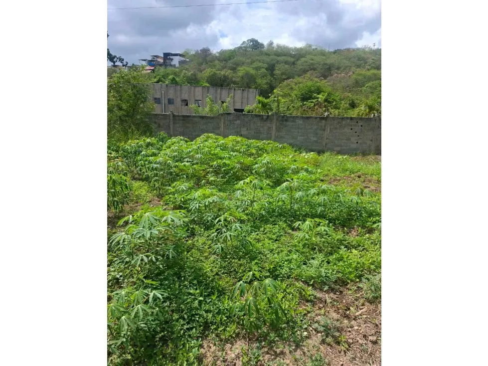 Vendo terreno 52.000m2 Zona Industrial Cloris-Guarenas 8717 - 2