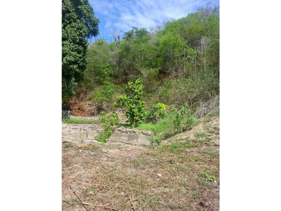 Vendo terreno 52.000m2 Zona Industrial Cloris-Guarenas 8717 - 4
