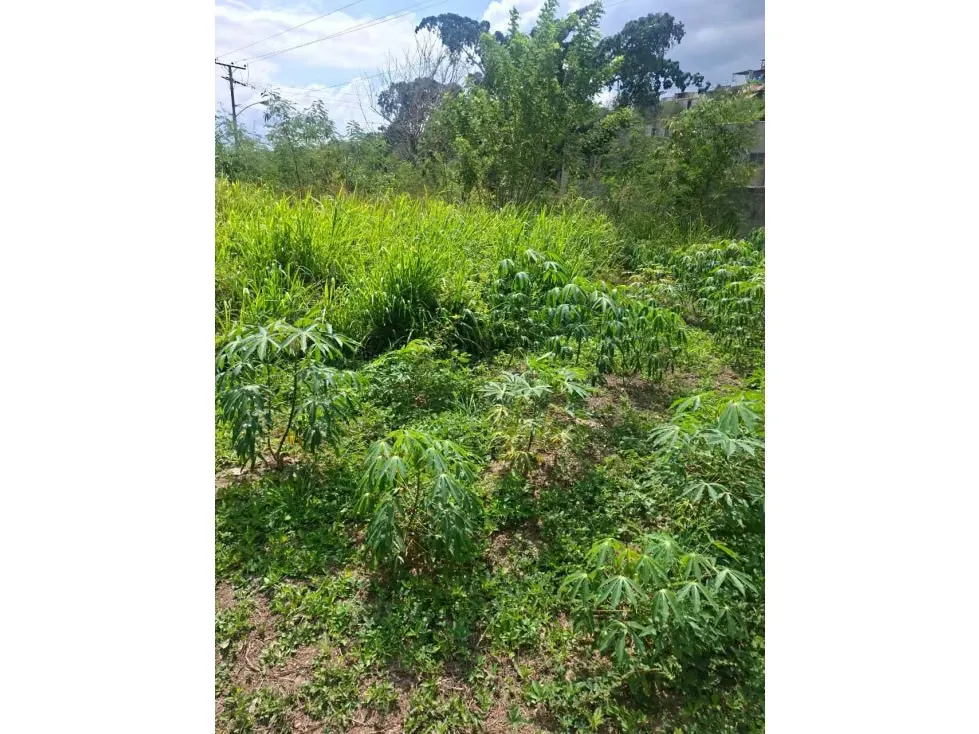 Vendo terreno 52.000m2 Zona Industrial Cloris-Guarenas 8717 - 6