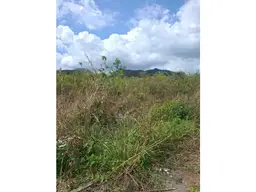 View 8