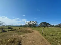 Vista 13