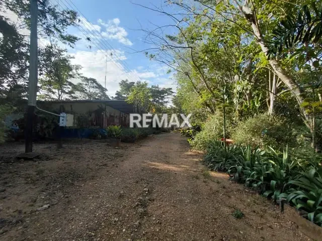 MAGNA INVERSIÓN AGROPECUARIA EN YARACAL: 90 HECTÁREAS EN PLENA PRODUCCIÓN. - 4