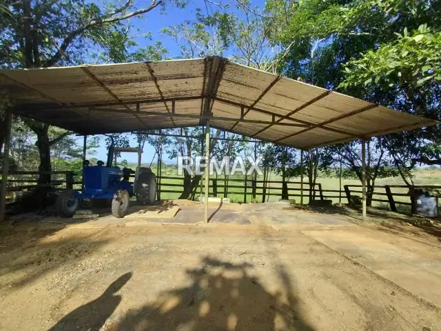 MAGNA INVERSIÓN AGROPECUARIA EN YARACAL: 90 HECTÁREAS EN PLENA PRODUCCIÓN. - 5