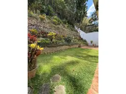 Vista 10