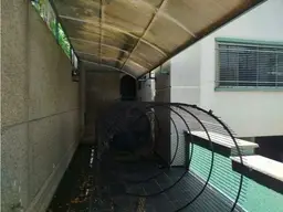 View 6