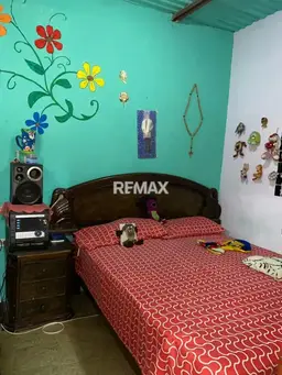 Vista 14