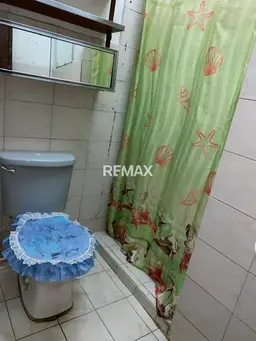 Vista 15