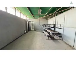 Vista 26