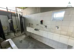 Vista 28
