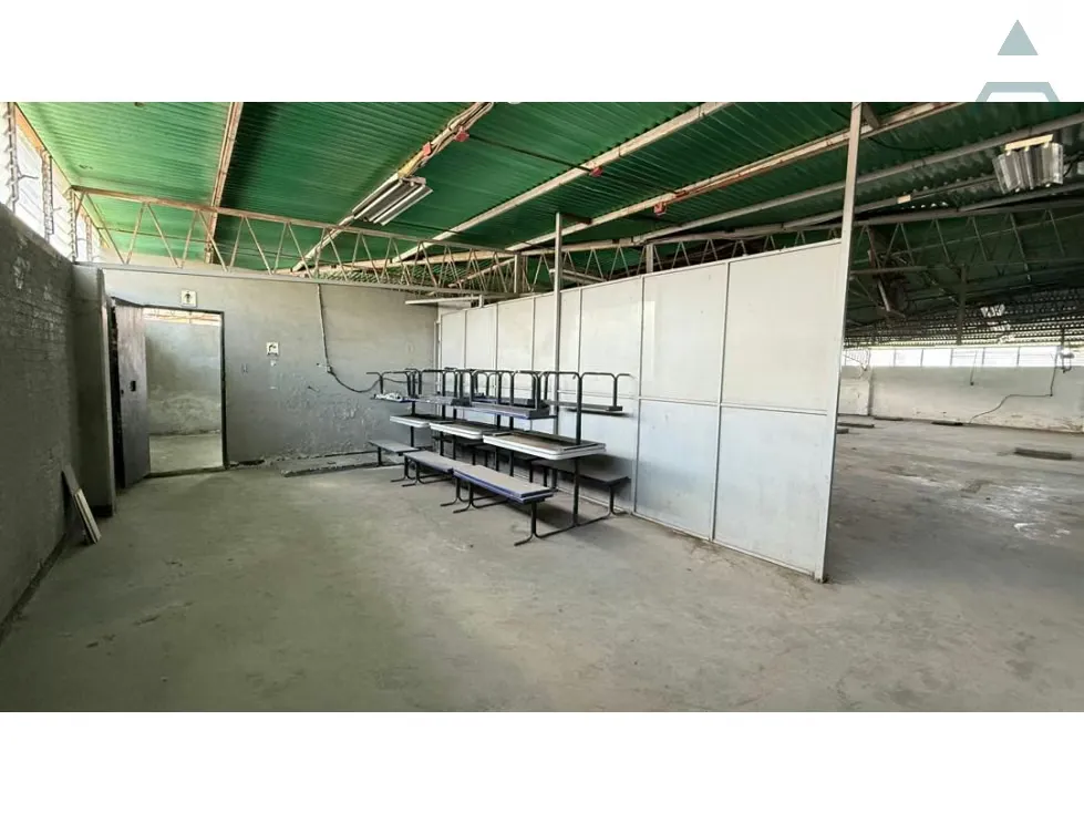 Se alquila Galpon 1000m² 4p Los Ruices - 6