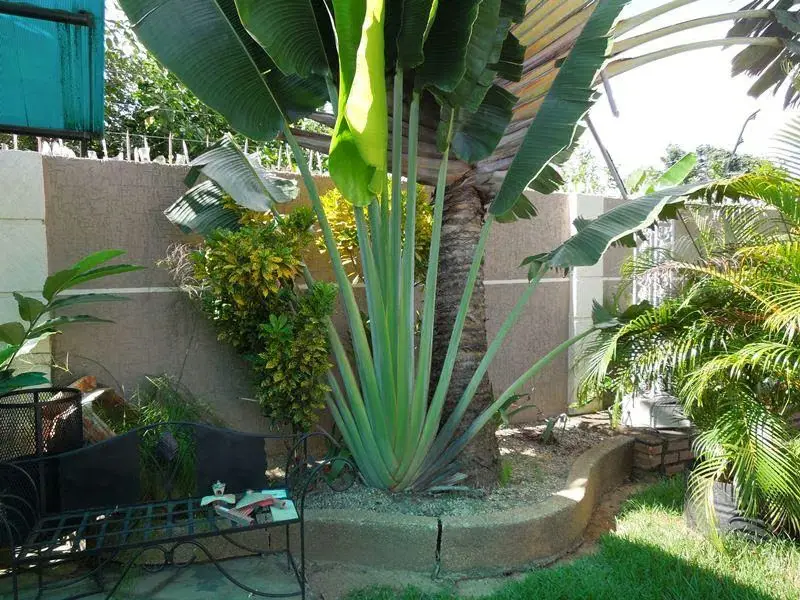 Casa (Duplex) en Venta en Pueblo Nuevo Sur, Anzoategui - 26