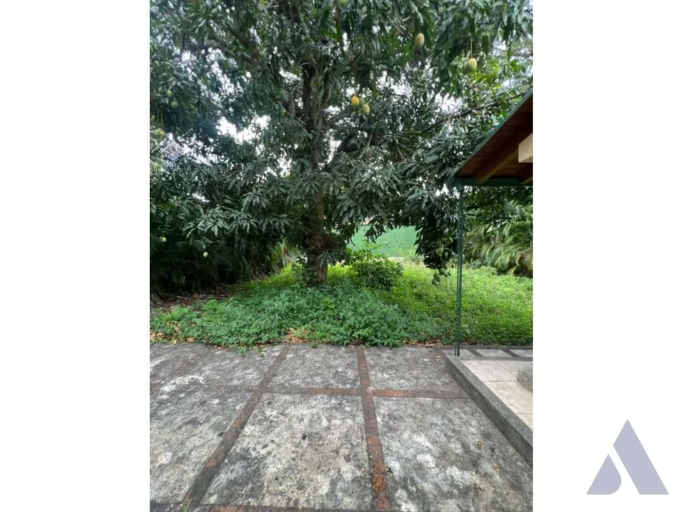 Se vende terreno 1273m2 La Floresta 7984 - 18