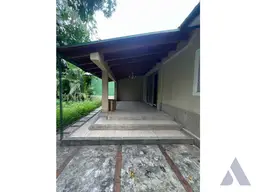 Vista 19