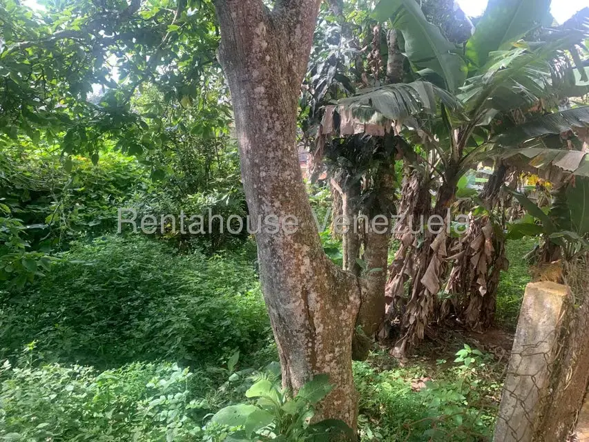 Casa (Multipes Niveles) en Venta en El Junquito, Distrito Metropolitano - 38