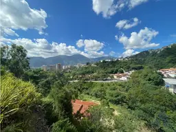 Vista 18