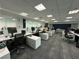 Vista 13