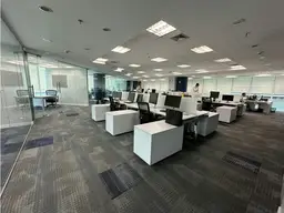 Vista 6