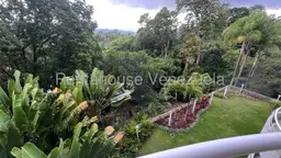 View 14