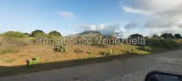 View 12