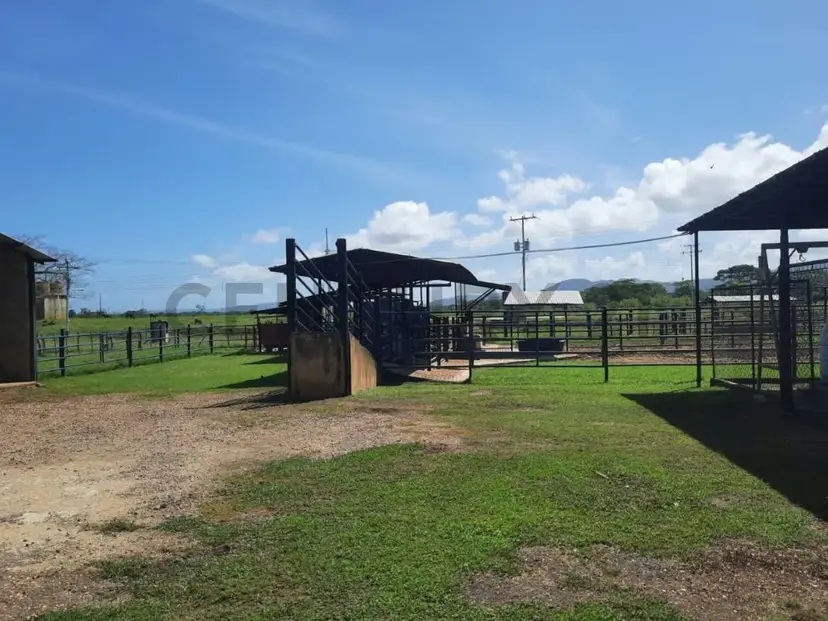 Venta de Finca en La Carretera Nacional De Moron, coro