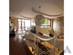 Vista 31