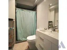 Vista 37