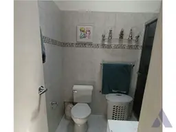 Vista 19