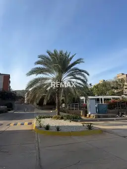 View 12