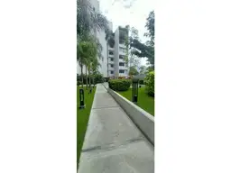 View 25