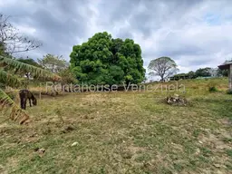 View 16