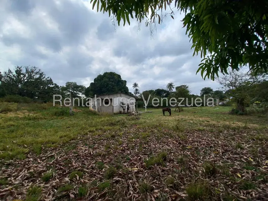 Casa (1 Nivel) en Venta en Centro, Lara - 18