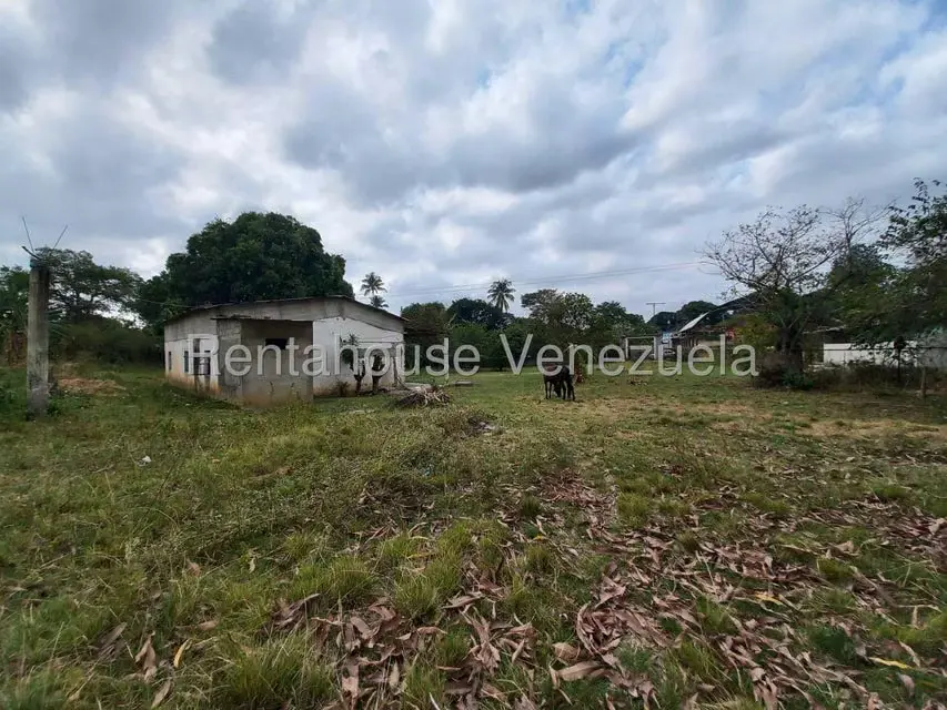 Casa (1 Nivel) en Venta en Centro, Lara - 19
