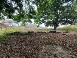 View 22