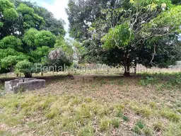 View 24