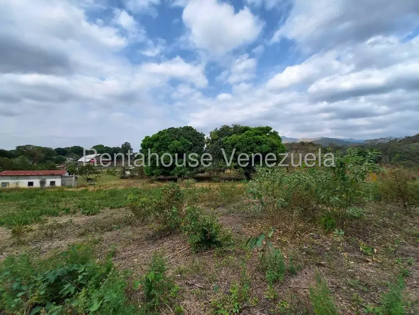Casa (1 Nivel) en Venta en Centro, Lara - 36