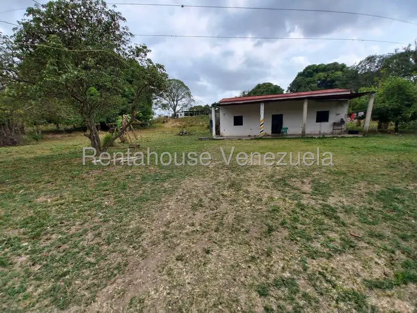 Casa (1 Nivel) en Venta en Centro, Lara - 6