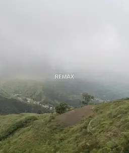 Vista 1