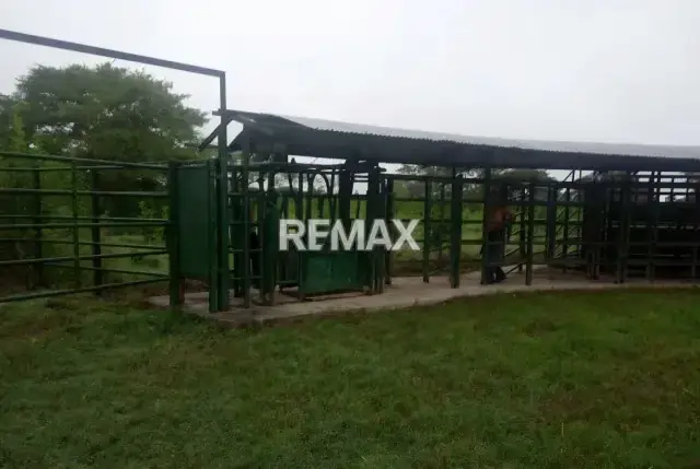 Venta de finca 130 hectáreas Vía Lagunitas